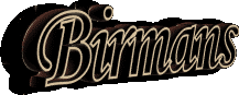 Birman cats and kittens sometimes available to  permanent loving homes