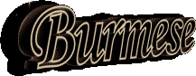 Burmese cats and kittens sometimes available to permanent loving homes.