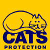 UK's leading feline welfare charity